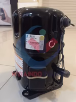 TECUMSEH TAG2516Z-3844